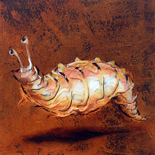 Fossil_13