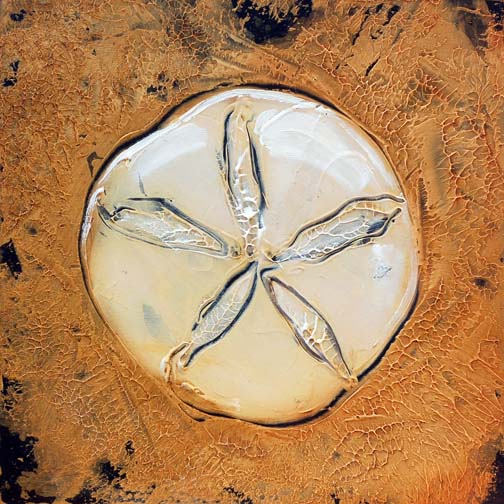 Fossil_14