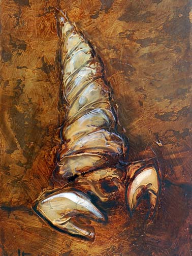 Fossil_70