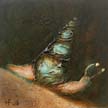 Fossil_01