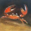 Fossil_24