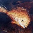 Fossil_31