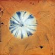 Fossil_34