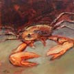 Fossil_62