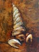 Fossil_70