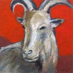 10_goat