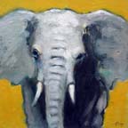 11_elephant