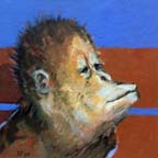 14_orangutan